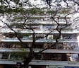 Belfer Apartment