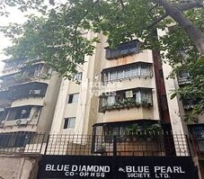Blue Pearl Apartment Featured Image