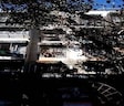 Bussa Apartments
