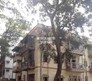 Chaya  Building Flagship Image