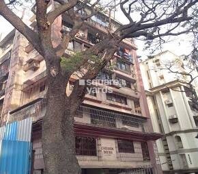 Chouhan Indira Classic