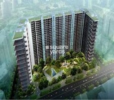 DB Orchid Paradise Featured Image