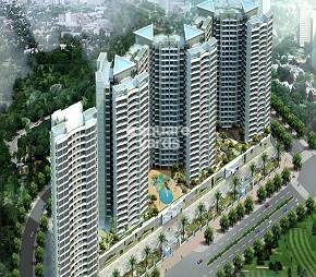 DB Orchid Suburbia