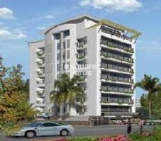 Divine Elegant Orchid Featured Image