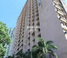 Golden Isle Featured Image