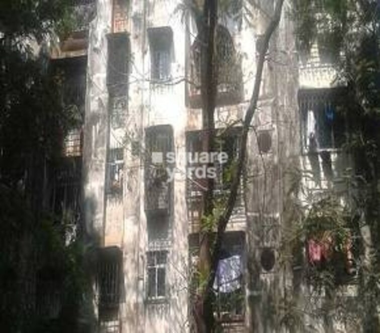 Golders Green CHS Cover Image