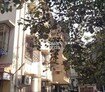 Jai Apartments Cover Image