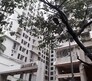 Janseva CHS Flagship Image