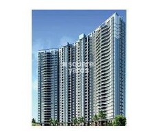 Jaycee  Savannah Featured Image