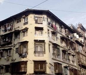 Junaid  House