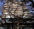 Kabir Apartment