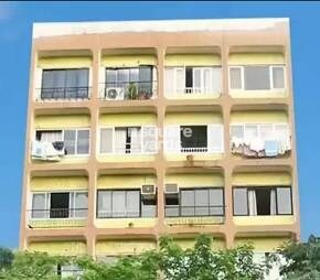 Kalpataru Ajay Video