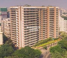 Kalpataru Solitaire Featured Image