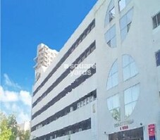 Kamla Trade World Featured Image