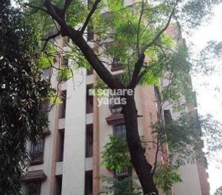 King Ston Apartment Cover Image