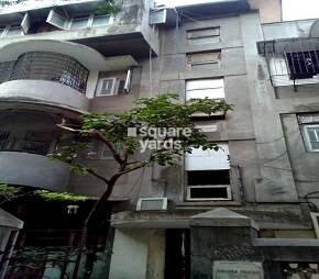 Representative image as actual visual unavailable for Krishna Prasad