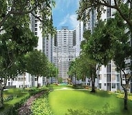 L & T Emerald Isle Tower 15 Video