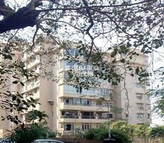 71 Las Palmas Featured Image