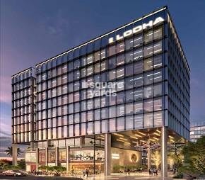 Lodha Codename Must Have