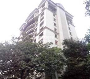 Man Plant Apartment