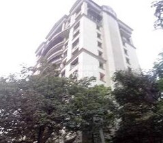 Man Plant Apartment