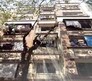 Mashayakh Apartment Flagship Image