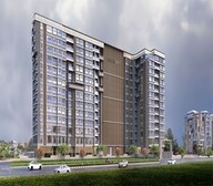 Mesacon Greens Video