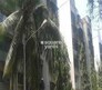 Midcity Pruthvi Enclave Flagship Image