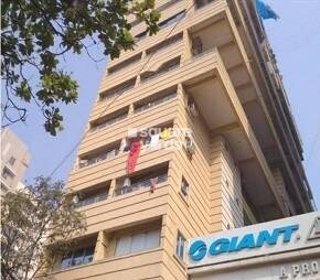 Mohini Heights