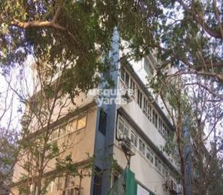 Neelam Center Cover Image