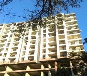 Nirala Crystal Height