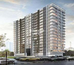 Options Kinara