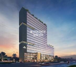 Representative image as actual visual unavailable for Ornate Solitaire