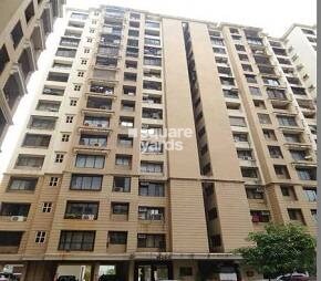 Palm Project CHS Video