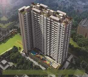 Paradigm Ananda Phase 2 Video