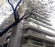 Park Vi Apartment
