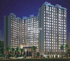 Pride Park Royale Featured Image