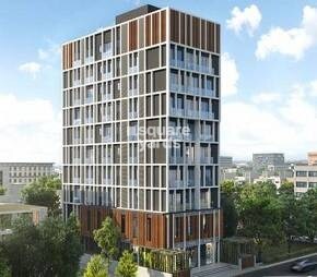 Rohinton Alankar VYBE Featured Image