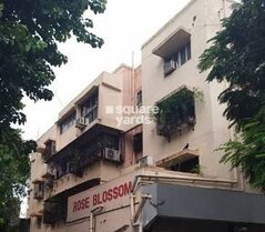 Rose Blossom CHS Rose Blossom CHS