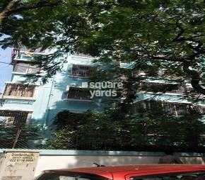 Saflya Building