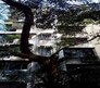 Sai Apartment Andheri West Flagship Image