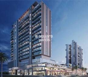 Savvy Merushikhar Video