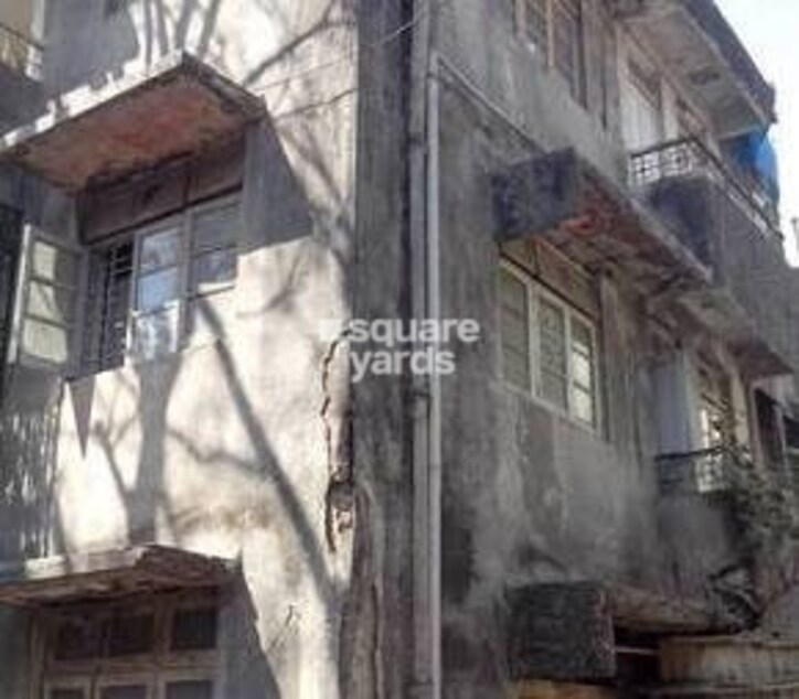 Shadavi House Cover Image