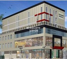 Shalimar Miracle Featured Image