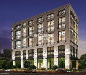 Shapoorji Pallonji Olive