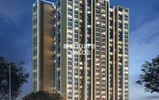 Shraddha Prime Featured Image