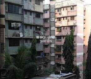 Shreegan CHS
