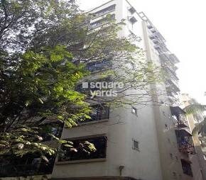 Shwesh House Cover Image