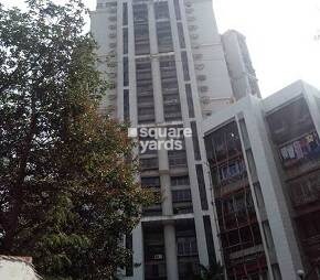 Silver Arch Eden woods