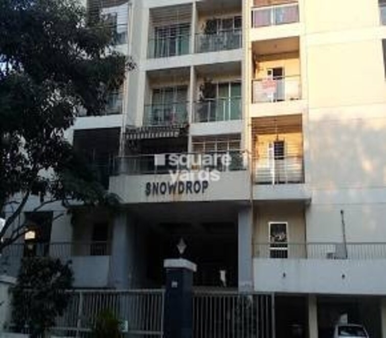 Snowdrop CHS Cover Image